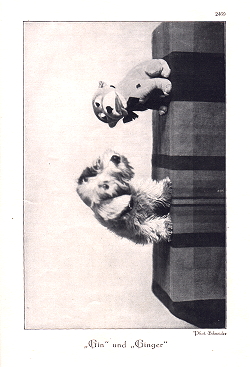 July 1928