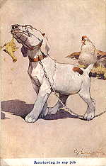 1884 - Retrieving is my job