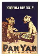 ROAN10 - Copy of the PanYan Pickle advert