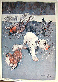 Folio 6, print 2