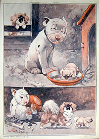 Folio 6, print 3
