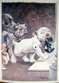 Folio 6, print 4