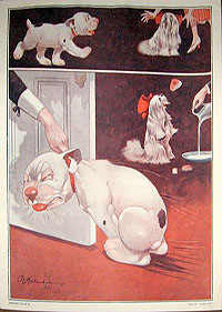 Folio 6, print 5