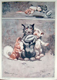 Folio 6, print 6