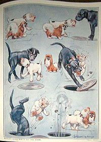 Folio 6, print 8