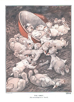 The orgy