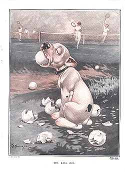 The Ball Boy