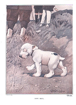 Lost Ball