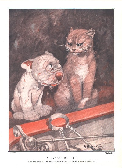 A Cat and Dog Life