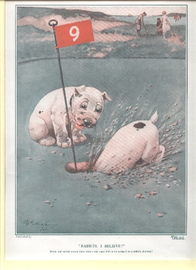 Rabbits, I believe