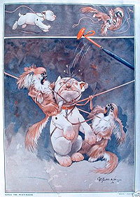 Folio 5, print 5