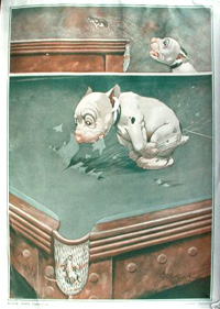 Folio 5, print 8
