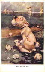 RPS 1014. Fred the Ball Boy