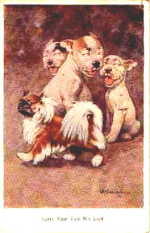 RPS 1033. Carry Your Tail, My Lord