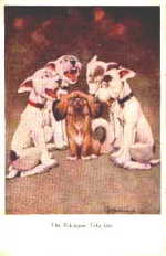 RPS 1034. The Pekingese Tells One