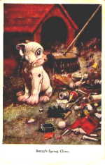 RPS 1072. Bonzo's Spring Clean