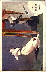 J. Salmon 2134 - A tail of woe