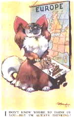 {short description of image}