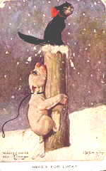 {short description of image}