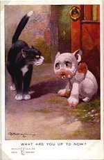 {short description of image}