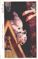 {short description of image}