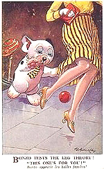 Bonzo tests the leg theory! This one's for you