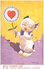Just sending you my little everlasting flower