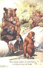 1010 - At a jungle wedding . . .