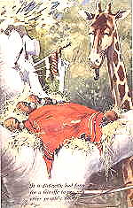 1010 - It is distinctly bad form for a giraffe . . .
